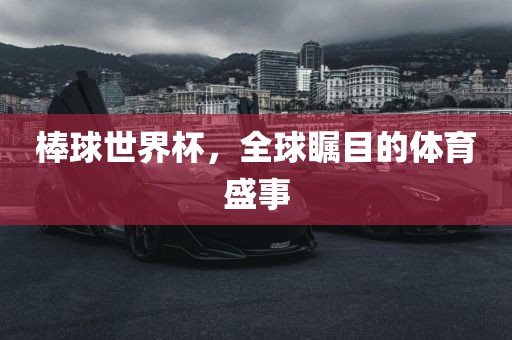 棒球世界杯，全球瞩目的体育盛事眉山市正发家政服务有限公司