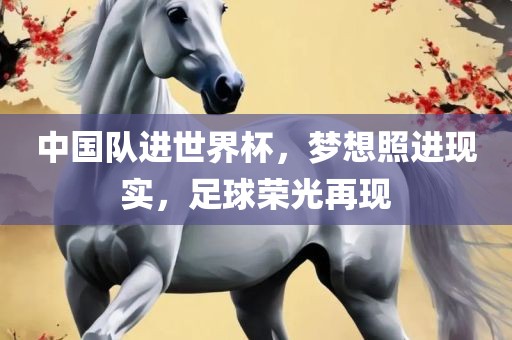 中国队进世界杯，梦想照进眉山市正发家政服务有限公司现实，足球荣光再现