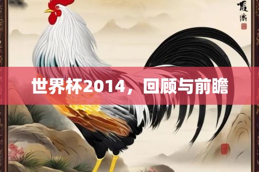 世界杯2014，回眉山市正发家政服务有限公司顾与前瞻