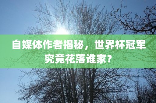 自媒体作者揭秘，世界杯冠军究竟花落谁家？眉山市正发家政服务有限公司