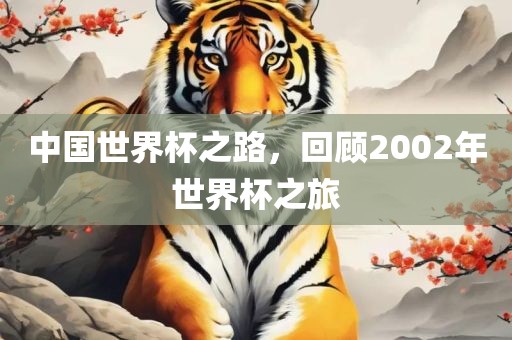中国世界杯之路，回顾2002年世界杯之旅眉山市正发家政服务有限公司
