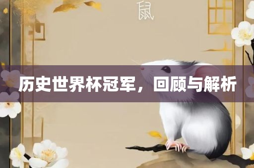 历史世界杯冠军，回顾与解析眉山市正发家政服务有限公司