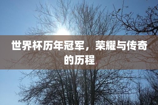 世界杯历年冠军，荣耀与传奇的历程