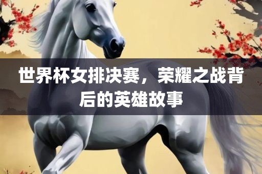 世界杯女排决赛，荣耀之战背后的英雄故事眉山市正发家政服务有限公司