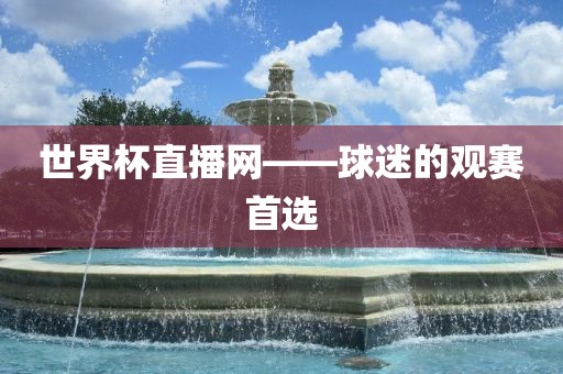 球迷观赛首选