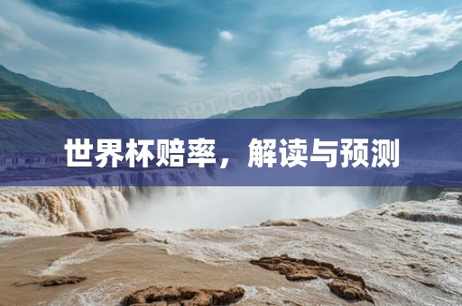 世界杯赔率，解读与眉山市正发家政服务有限公司预测