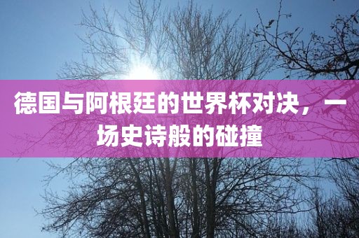 德国与阿根廷的世界杯对决，一场史诗般的碰撞眉山市正发家政服务有限公司