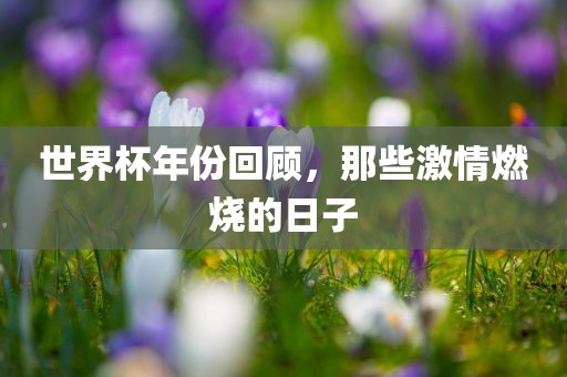 世界杯年份回顾，那些激情燃烧的日子