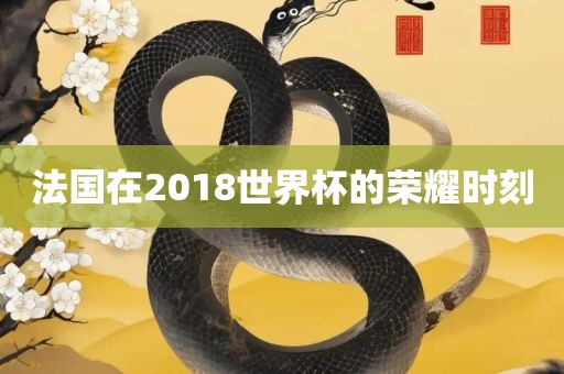 法国在2018世界杯的荣耀时刻眉山市正发家政服务有限公司