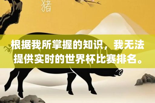 根据我所掌握的知识，我无法提供实时的世界杯比赛排名。