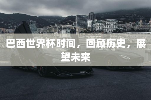 历史与未来展望 第6页