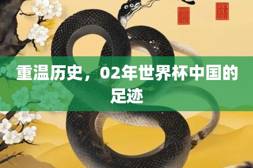 重温历史，02年世界杯中国的足迹眉山市正发家政服务有限公司