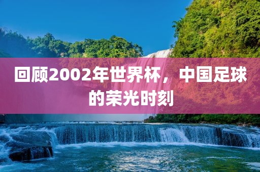 回顾2002年世界杯，中国足球的荣光时刻眉山市正发家政服务有限公司