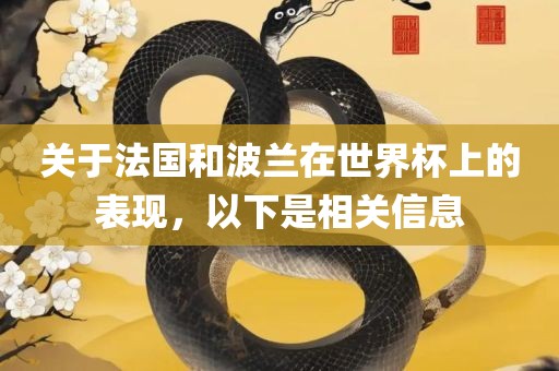 关于法国和波兰在世界杯上的表现，以下眉山市正发家政服务有限公司是相关信息
