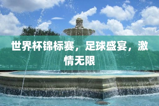 世界杯锦标赛，足球盛宴，激情无限