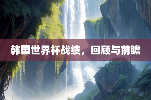 韩国世界杯战绩，回顾与前瞻眉山市正发家政服务有限公司