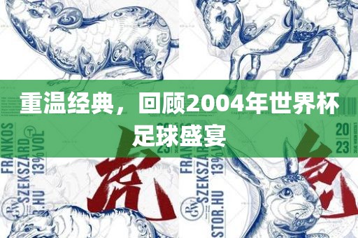 重温经典，回顾2004年世界杯足球盛宴眉山市正发家政服务有限公司