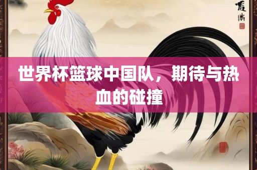 世界杯篮球中国队，期待与热血的碰撞眉山市正发家政服务有限公司