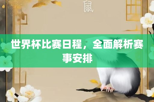 世界杯比赛日程，全面解析赛事安排