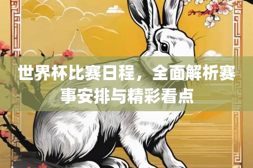 世界杯比赛日程，全面解析赛事安排与精彩看点