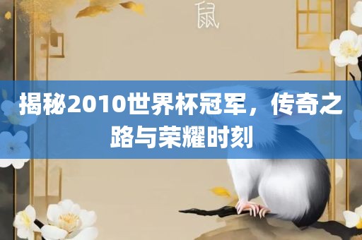 揭秘2010世界杯冠军，传奇之路与荣耀时刻