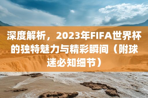 深度解析，2023年FIFA世界杯的独特魅力与精彩瞬间（附球迷必知细节）眉山市正发家政服务有限公司