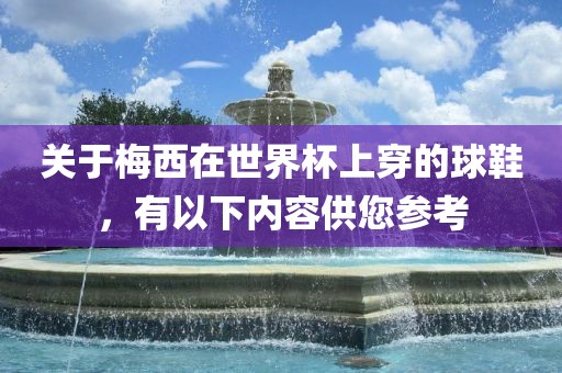 关于梅西在世界杯上穿的球鞋，有以下内容供您参考眉山市正发家政服务有限公司