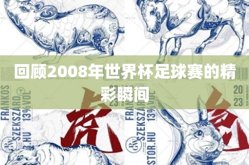 回顾2008年世界杯足球赛的精彩瞬间眉山市正发家政服务有限公司