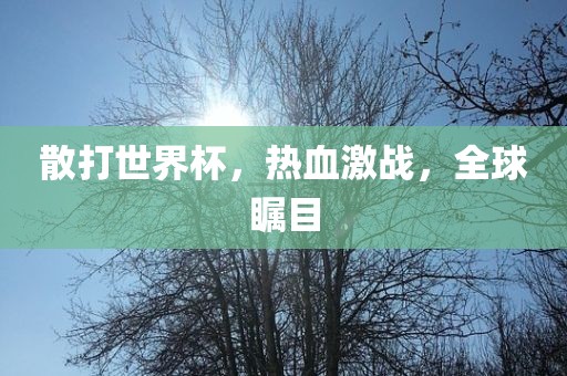 散打世界杯，热血激战，全球瞩目眉山市正发家政服务有限公司