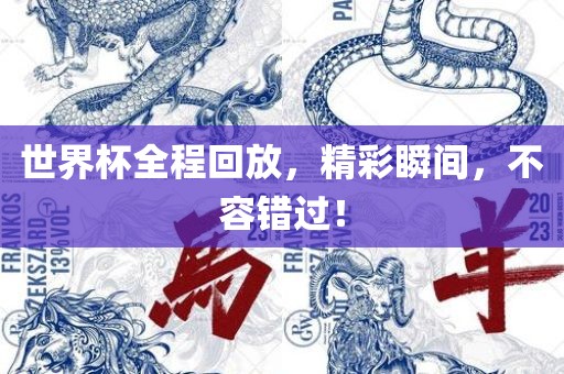 世界杯全程回放，精彩瞬间，不容错过！