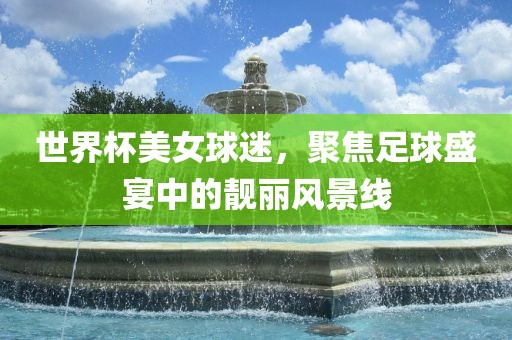 世界杯美女球迷，聚焦足球盛宴中的靓丽眉山市正发家政服务有限公司风景线