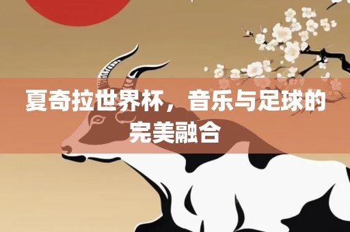 夏奇拉世界杯，音乐与足球的完美融合眉山市正发家政服务有限公司