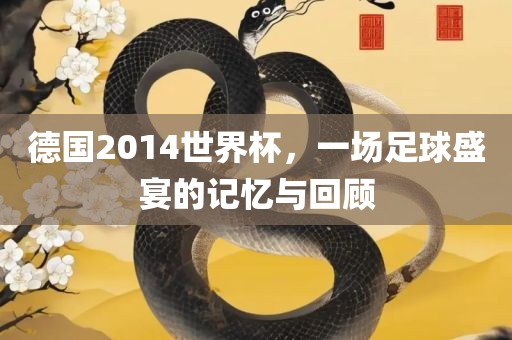 德国2014世界杯，一场足球盛宴的记忆与回顾