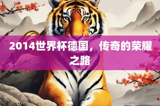 2014世界杯德国，传奇的荣耀之路