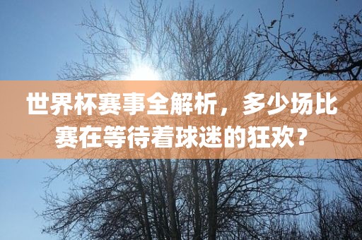 世界杯赛事全解析，多少场比赛在等待着球迷的眉山市正发家政服务有限公司狂欢？