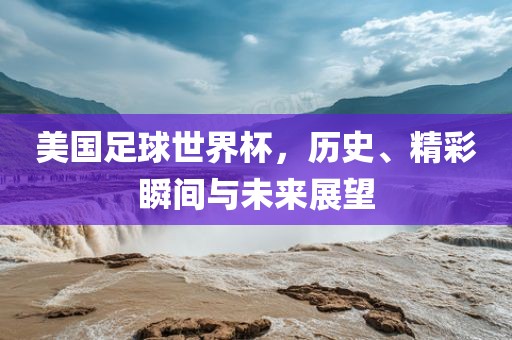 美国足球世界杯，历史、精彩瞬间与未来展望眉山市正发家政服务有限公司