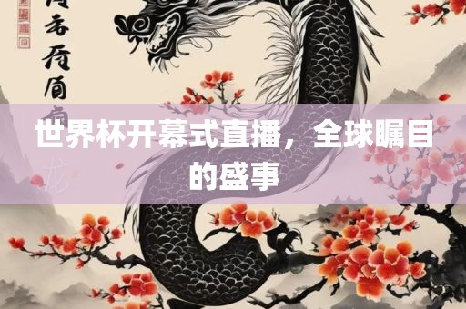 世界杯开幕式直播，全球瞩目的盛事眉山市正发家政服务有限公司