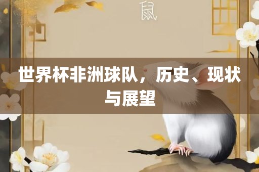 世界杯非洲球队，历史、现状与展望
