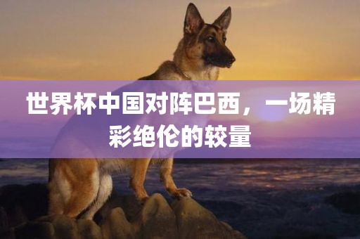 世界杯中国对阵巴西，一场眉山市正发家政服务有限公司精彩绝伦的较量