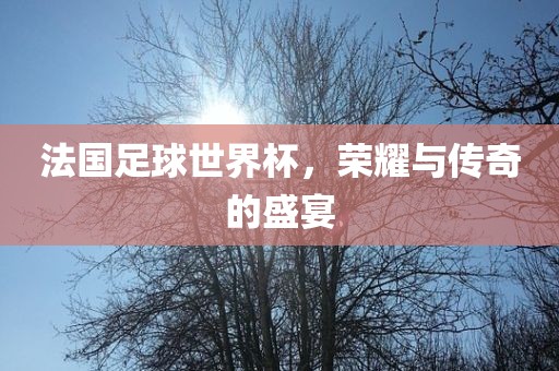 法国足球世界杯，荣耀与传奇的盛宴眉山市正发家政服务有限公司