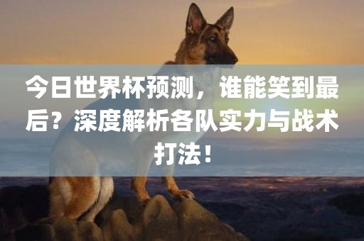今日世界杯预测，谁能笑到最后？深度解析各队实力与战术打法！眉山市正发家政服务有限公司