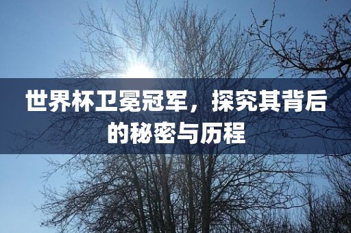 世界杯卫冕冠军，探究其背后的秘密与历程眉山市正发家政服务有限公司
