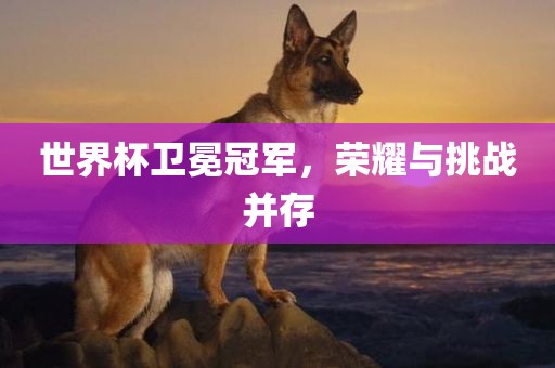 世界杯卫冕冠军，荣耀与挑战并存眉山市正发家政服务有限公司