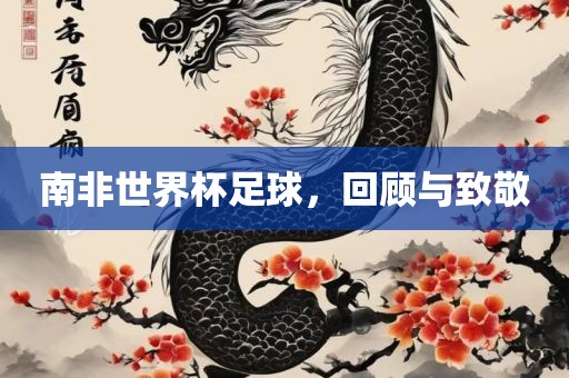 南非眉山市正发家政服务有限公司世界杯足球，回顾与致敬