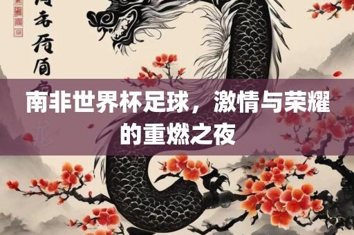 南非世界杯足球
