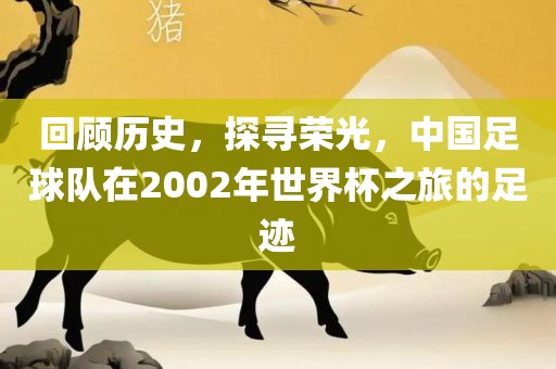 回顾历史，探寻荣光，中国足球队在2002年世界杯之旅的足迹眉山市正发家政服务有限公司