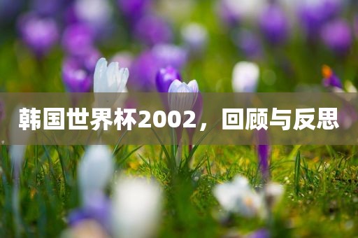 韩国世界杯2002，回顾与反思