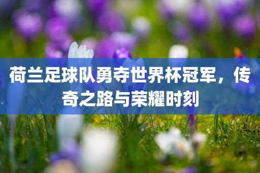 荷兰足球队勇夺世界杯冠军，传奇之路与荣耀时刻眉山市正发家政服务有限公司