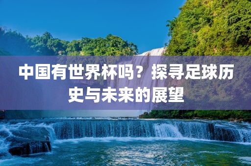 中国有世界杯吗？探寻足球历史与未来的展望