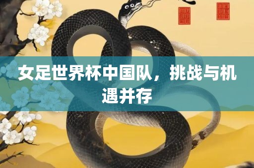 女足世界杯中国队，挑战与机遇并存